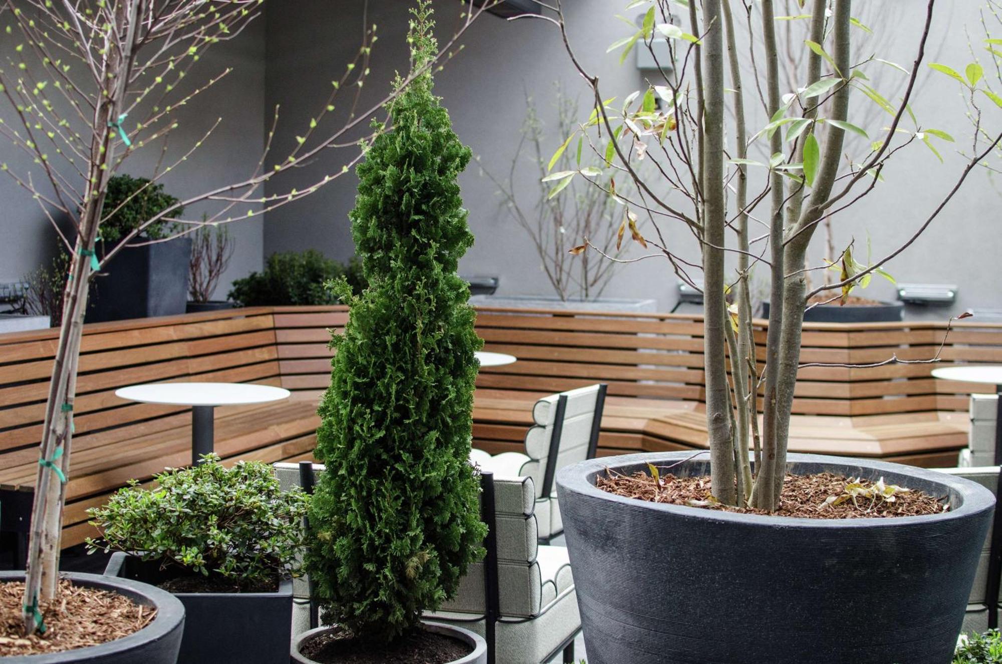 Freepoint Hotel Cambridge, Tapestry Collection By Hilton Exterior foto